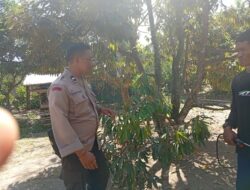 Gotong Royong Warga Dusun Begende Dukung Ketahanan Pangan Nasional