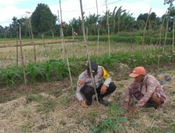 Bhabinkamtibmas Kuripan Ajak Warga Kembangkan Pertanian Keluarga untuk Ketahanan Pangan
