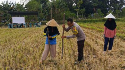 Polsek Kuripan Dukung Petani Jagung Kuripan Utara Tingkatkan Ketahanan Pangan