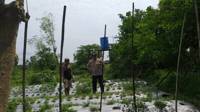Ketahanan Pangan Dimulai dari Rumah, Inisiatif Bhabinkamtibmas di Desa Jagaraga