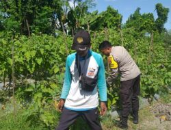 Polsek Kuripan Dorong Ketahanan Pangan di Desa Jagaraga
