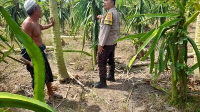 Bhabinkamtibmas Gelogor Dukung Petani Jaga Ketahanan Pangan