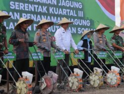 Polda NTB Tanam Jagung Serentak di Desa Babussalam, Dorong Ketahanan Pangan