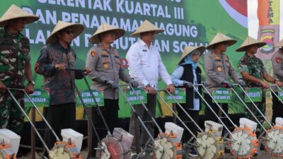 Polda NTB Tanam Jagung Serentak di Desa Babussalam, Dorong Ketahanan Pangan