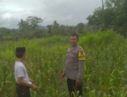 Bhabinkamtibmas Sekotong Tengah Dorong Pemanfaatan Lahan Pekarangan untuk Ketahanan Pangan