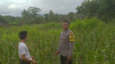 Bhabinkamtibmas Sekotong Tengah Dorong Pemanfaatan Lahan Pekarangan untuk Ketahanan Pangan