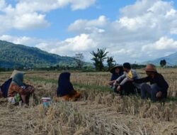 Babinkamtibmas Dorong Ketahanan Pangan di Babussalam, Lombok Barat