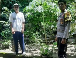 Bengkaung Batulayar Kembangkan Pekarangan Bergizi untuk Ketahanan Pangan