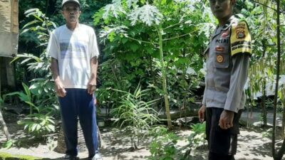 Bengkaung Batulayar Kembangkan Pekarangan Bergizi untuk Ketahanan Pangan