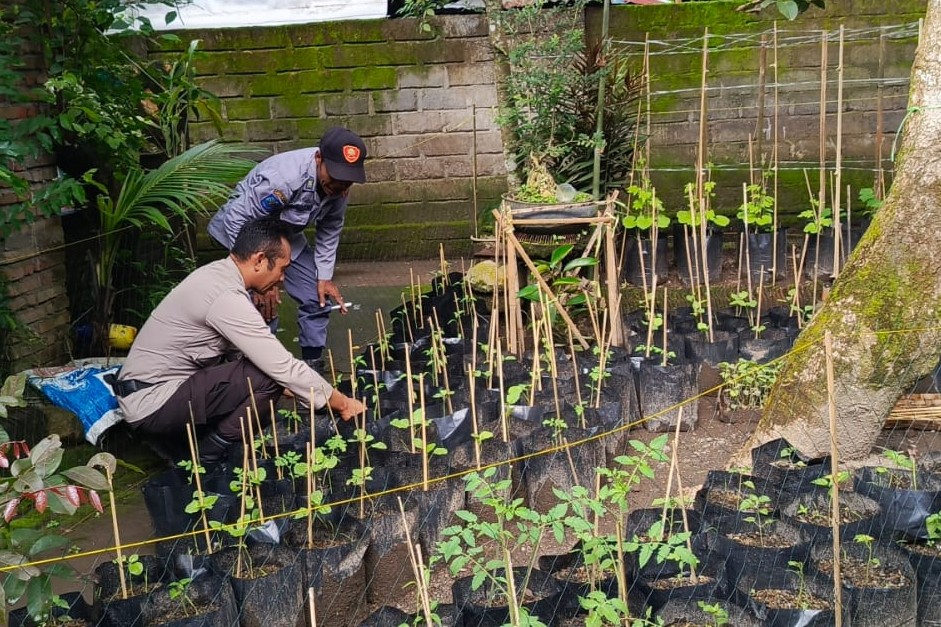 Polri Dorong Ketahanan Pangan dari Pekarangan Warga Kuripan Utara