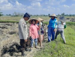 Bhabinkamtibmas Montong Are Dorong Ketahanan Pangan Lewat Pendekatan Humanis