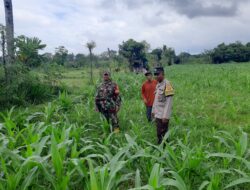 Polres Lobar Intensifkan Patroli Blue Light di Bypass BIL II