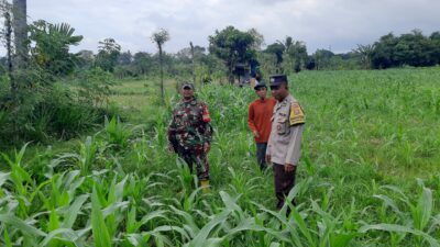 Polres Lobar Intensifkan Patroli Blue Light di Bypass BIL II