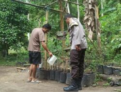 Bhabinkamtibmas Batulayar Dorong Kemandirian Pangan Lewat Pekarangan Bergizi
