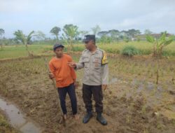 Bhabinkamtibmas Desa Montong Are Dorong Ketahanan Pangan Lokal