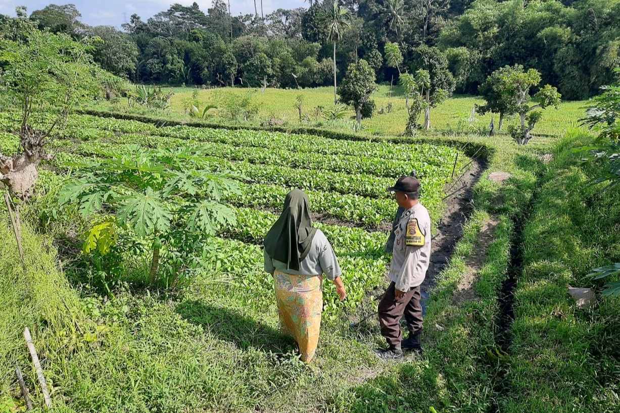 Polsek Kediri Dorong Ketahanan Pangan Warga Montong Are