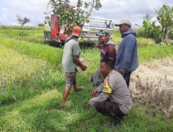 Bhabinkamtibmas Montong Are Dampingi Petani Wujudkan Swasembada Pangan
