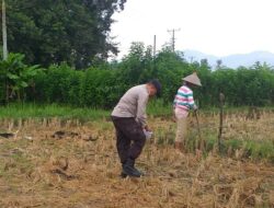 Bhabinkamtibmas Kuripan Dorong Pemanfaatan Pekarangan untuk Ketahanan Pangan