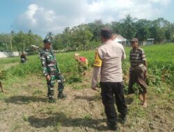 Sinergi Polisi dan Petani Gerung Dorong Kemandirian Pangan di Taman Ayu