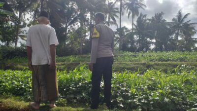 Pemanfaatan Pekarangan untuk Ketahanan Pangan di Dusun Pelan