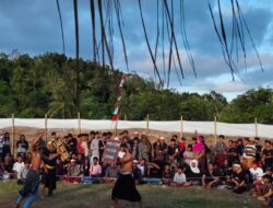 Meriah dan Aman, Festival Peresean Mareje Timur Angkat Budaya Lokal