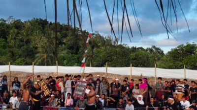 Meriah dan Aman, Festival Peresean Mareje Timur Angkat Budaya Lokal