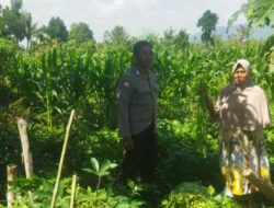 Bhabinkamtibmas Desa Kediri Dorong Ketahanan Pangan Bersama Petani Karang Kuripan
