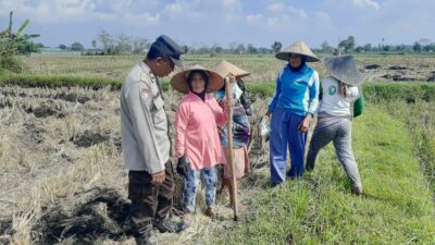 Ketahanan Pangan Dimulai dari Desa: Langkah Humanis Bhabinkamtibmas Montong Are