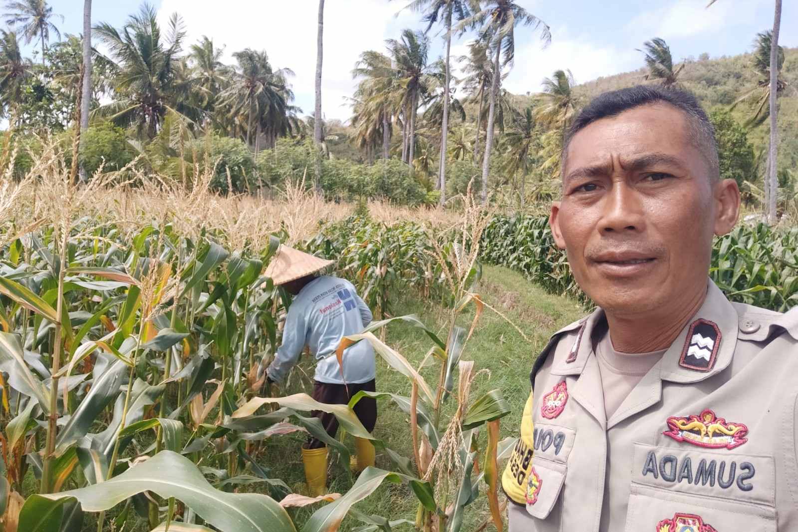 Bhabinkamtibmas Desa Batu Putih Dorong Pemanfaatan Lahan Petani di Dusun Tibu Baru
