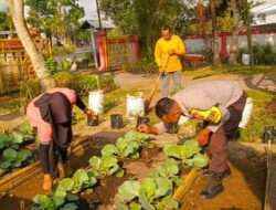 Jaga Ketahanan Pangan, Bhabinkamtibmas Kuripan Gelar Sosialisasi Pemanfaatan Lahan Produktif
