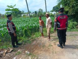 Patroli Ketahanan Pangan di Kecamatan Gerung: Dukungan Polri untuk Petani Jagung