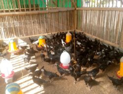 Bhabinkamtibmas Desa Jagaraga Dorong Swadaya Ketahanan Pangan Warga