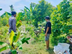 Polsek Labuapi Dorong Warga Desa Bajur Tanam Sayur di Pekarangan