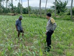 Bhabinkamtibmas Cendi Manik Dorong Ketahanan Pangan Lewat Pendekatan Humanis