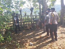 Cegah Rabies, Polsek Seteluk Dampingi Vaksinasi Hewan Peliharaan di Desa Seran