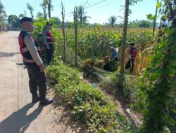 Polri Hadir di Tengah Petani, Jamin Ketahanan Pangan Melalui Patroli di Lombok Barat
