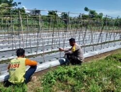 Bhabinkamtibmas Desa Tatar Dampini Warga Dalam Kegiatan Pengelolaan lahan Produktif