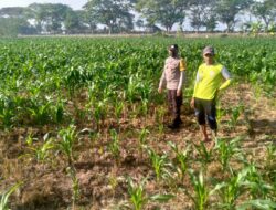 Bhabinkamtibmas Jagaraga Ajak Petani Dusun Adeng Optimalkan Lahan untuk Ketahanan Pangan