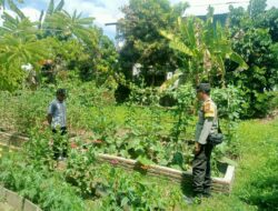 BHABINKAMTIBMAS DESA BERU LAKUKAN PENDAMPINGAN DAN MONITORING LAHAN PANGAN WARGA