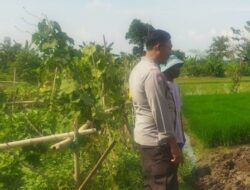 Polri Gerakkan Petani Lombok Barat Sukseskan Program Ketahanan Pangan Nasional