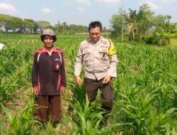 Bhabinkamtibmas Desa Jagaraga Dorong Petani Manfaatkan Lahan untuk Ketahanan Pangan