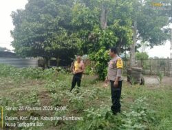 Panit Binmas Polsek Alas Gencarkan Program Ketahanan Pangan di Desa Dalam
