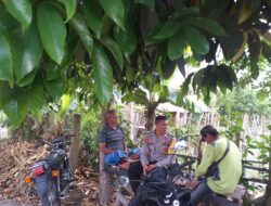 Polsek Kuripan Gencarkan Edukasi Pemanfaatan Lahan di Dusun Tegal, Lombok Barat
