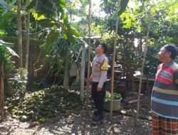 Polsek Kuripan Perkuat Program Ketahanan Pangan Lewat Pemanfaatan Pekarangan Desa Jagaraga