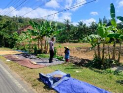 Bhabinkamtibmas Eyat Mayang Dukung Petani Lembar Jaga Ketahanan Pangan