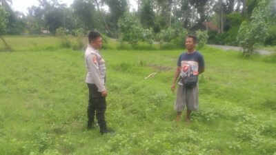 Bhabinkamtibmas Jagaraga Dorong Warga Kuripan Manfaatkan Lahan Pekarangan untuk Ketahanan Pangan