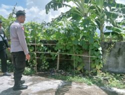 Pekarangan Produktif di Desa Perampuan: Langkah Bhabinkamtibmas Labuapi Wujudkan Kemandirian Pangan