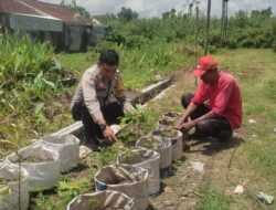 Sinergi Polsek Labuapi dan Warga Mapak Reong Dorong Pemanfaatan Pekarangan Produktif