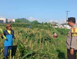 Bhabinkamtibmas Labuapi Ajak Warga Karang Bongkot Sulap Pekarangan Jadi Lumbung Pangan