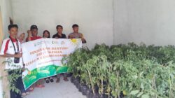 POLSEK SEKONGKANG DAMPINGI (GGM) SUMBAWA BARAT SALURKAN BIBIT TANAMAN DI WILAYAH KECAMATAN SEKONGKANG